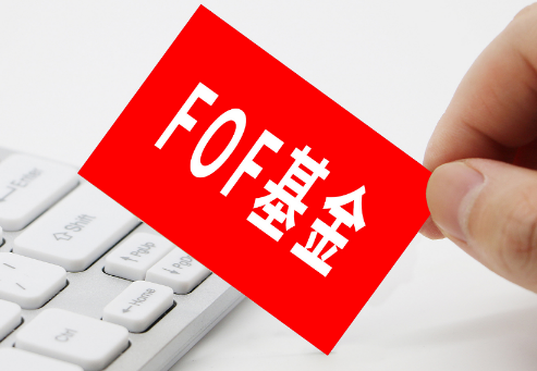 “专业买手”的重仓：刘旭、周海栋等更得FOF偏爱